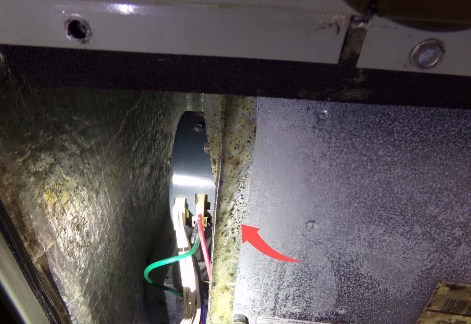 mold inside air duct plenum mold inside air duct plenum