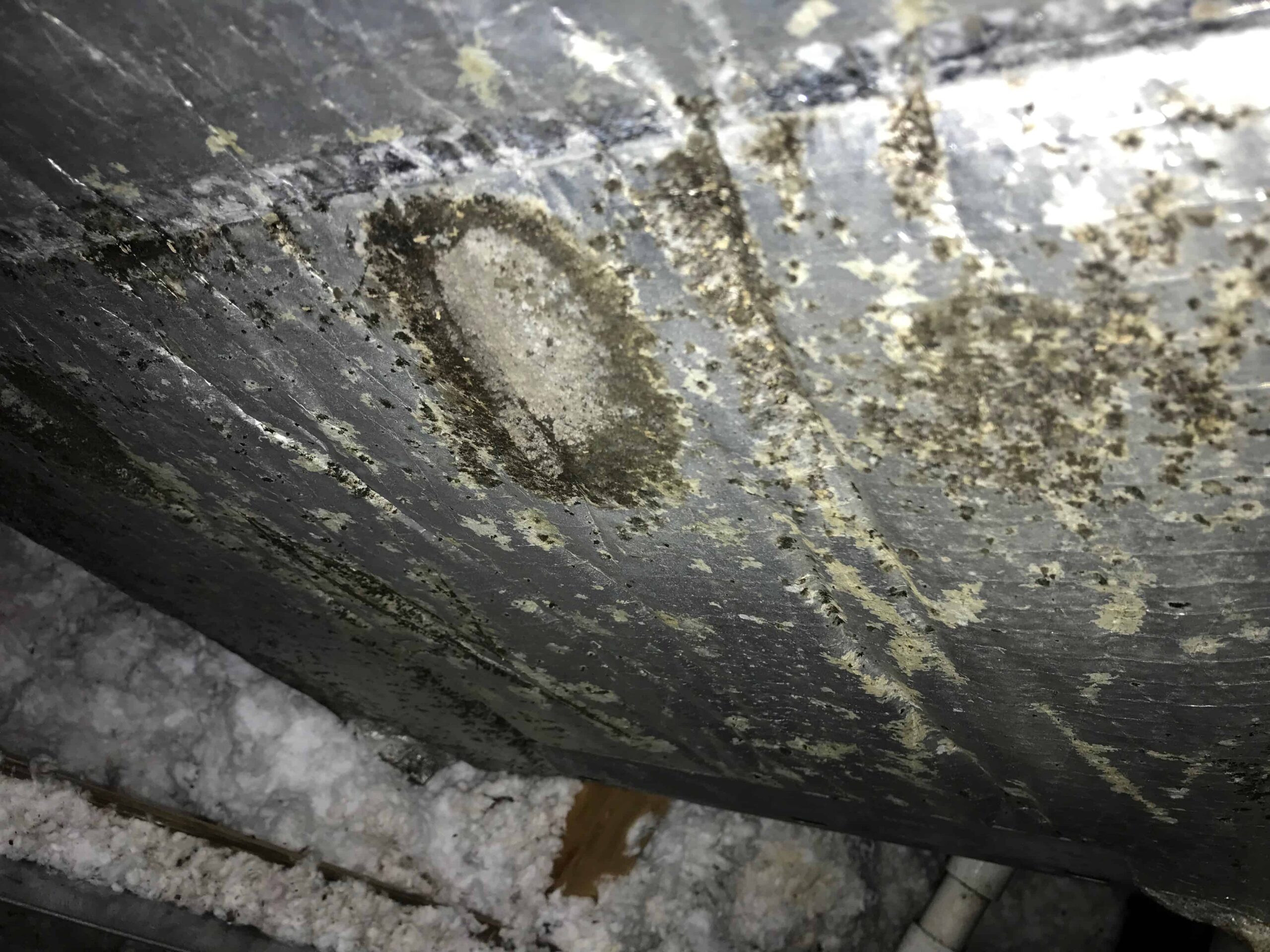 mold growing inside hvac mold growing inside hvac