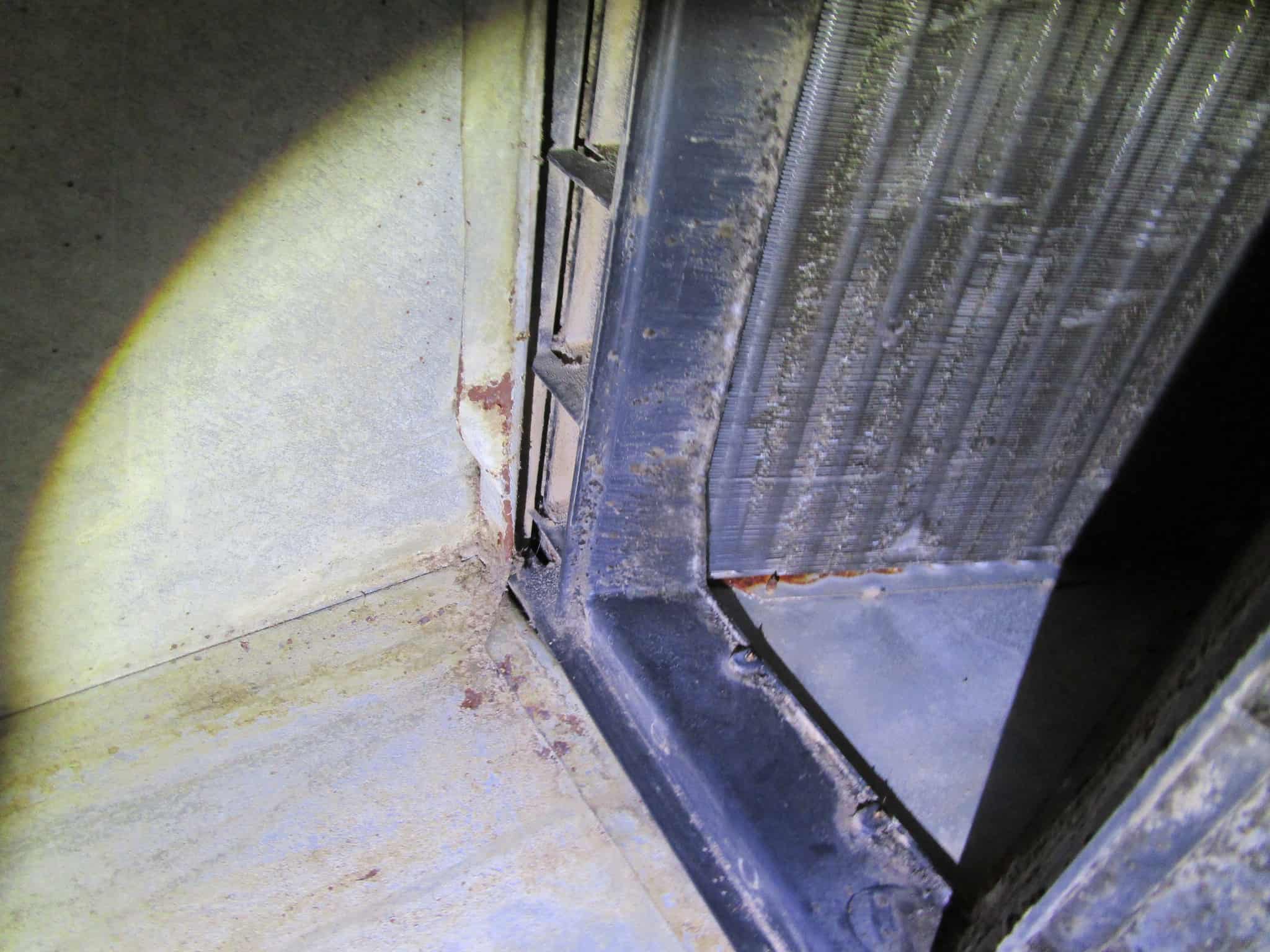 mold in a/c mold in a/c