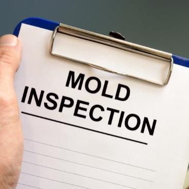Should I Get A Mold Inspection When Buying A House? (My Top Tips) 1 home mold inspection cost testing