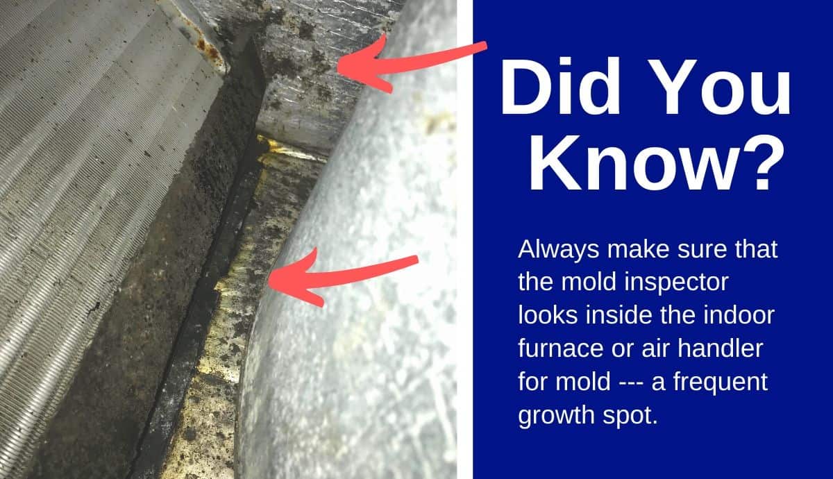 mold inside of furnace mold inside of furnace