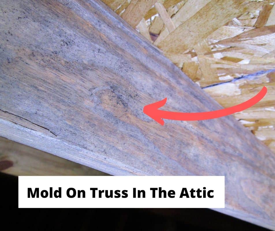 mold on wood truss in attic mold on wood truss in attic