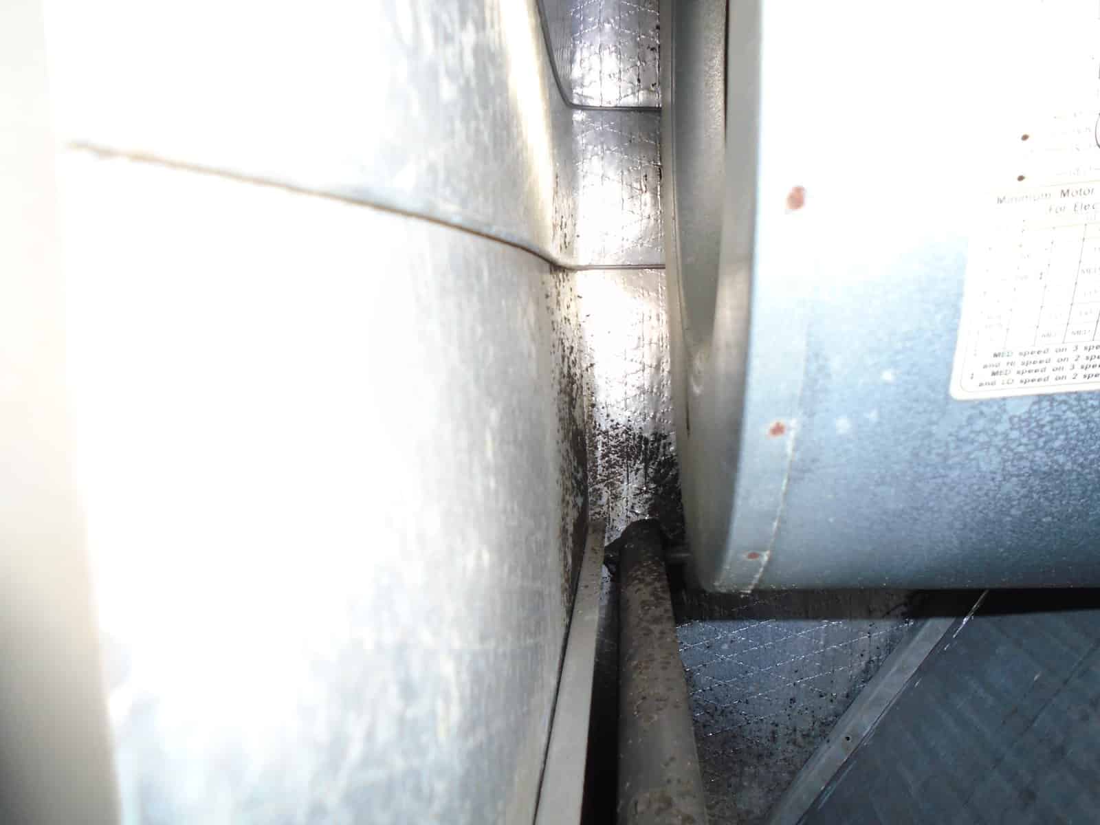 picture of mold in air duct picture of mold in air duct