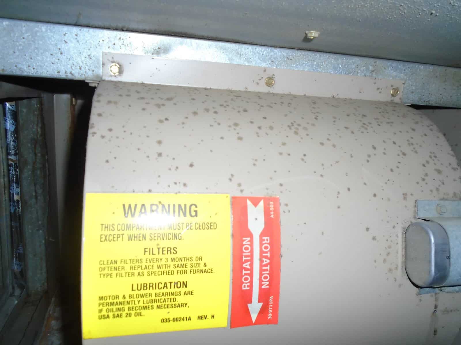 picture of mold on air duct blower picture of mold on air duct blower