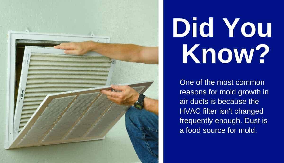 mold in air ducts mold in air ducts