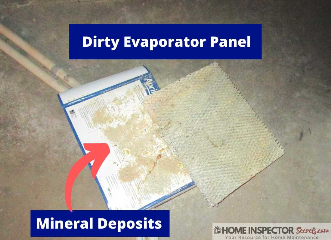 dirty evaporator panel dirty evaporator panel