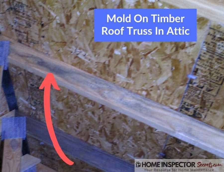 What Do Home Inspectors Look For? (Home Inspection Checklist) 6 mold on roof truss