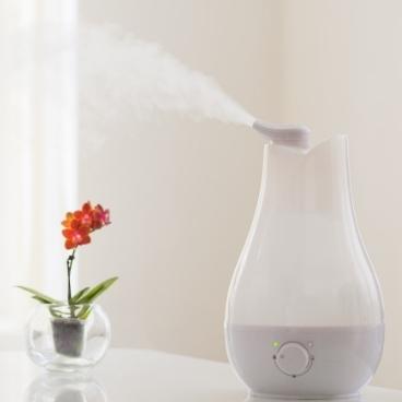How To Clean A Honeywell Humidifier? (6 Step Guide) 1 how to clean honeywell humidifier
