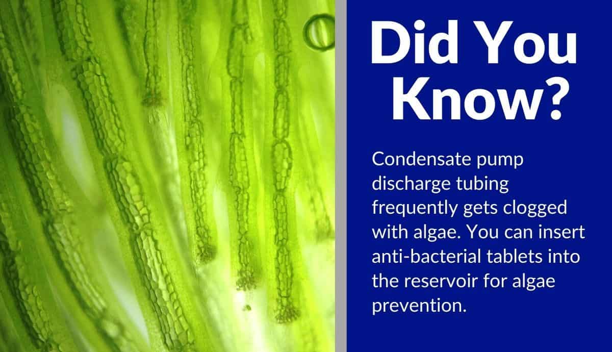 how to tell if condensate pump is working (1) how to tell if condensate pump is working (1)