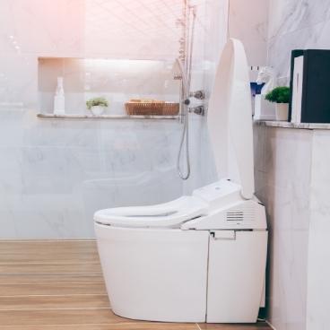 How To Clean Toto Washlets? (7 Step Guide) 1 how to clean toto washlet