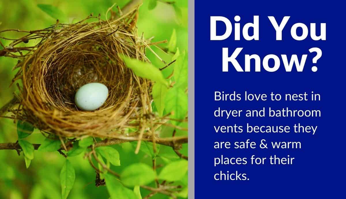 bathroom fan stopped working (1) bathroom fan stopped working (1)