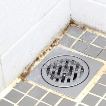 How To Prevent Mold In Bathrooms Without Fans? (5 Step Guide) 1 how to prevent mold in bathroom without fan