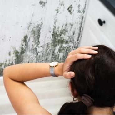 Whole House Humidifiers And Mold (2025 Guide) 1 whole house humidifiers and mold