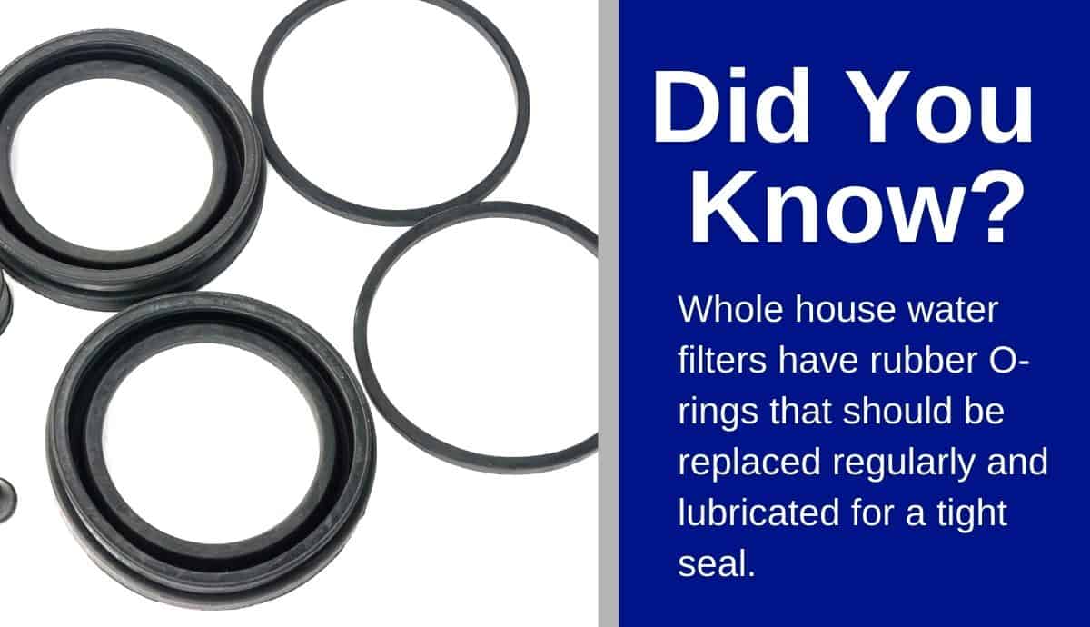 whole house water filter leaking from top (1) whole house water filter leaking from top (1)