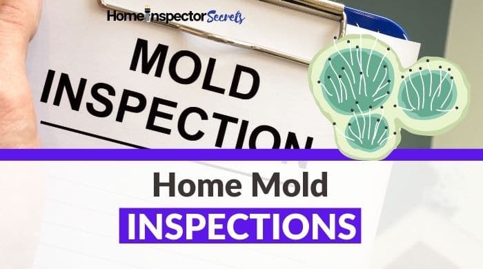 How Much Is A Mold Inspection? (2025 Cost Estimate) 1 home-mold-inspection-cost-testing-1-1