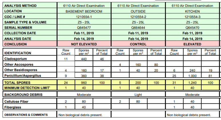 How Much Is A Mold Inspection? (2025 Cost Estimate) 3 home mold inspection cost testing1