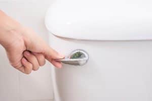 flushing toilet when off