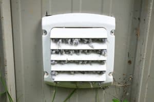 keep birds out of dryer vent