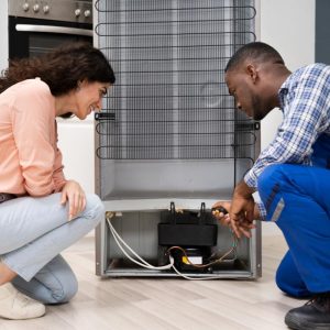 how to quiet a noisy refrigerator compressor