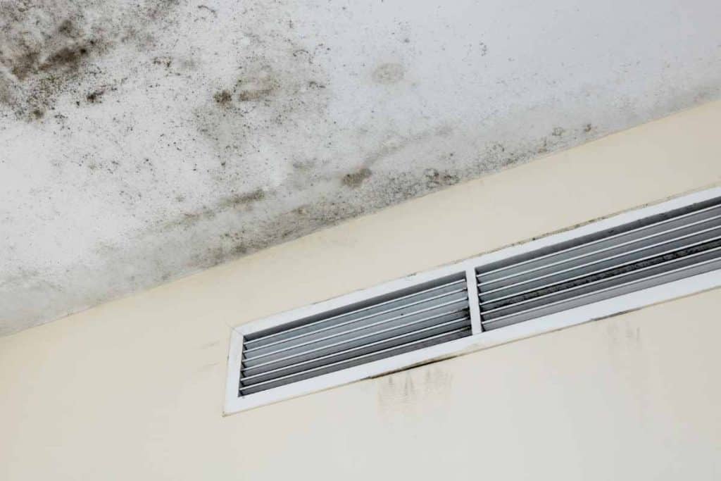 Signs of Black Mold In Air Vents (A/C Unit Symptoms?) 1