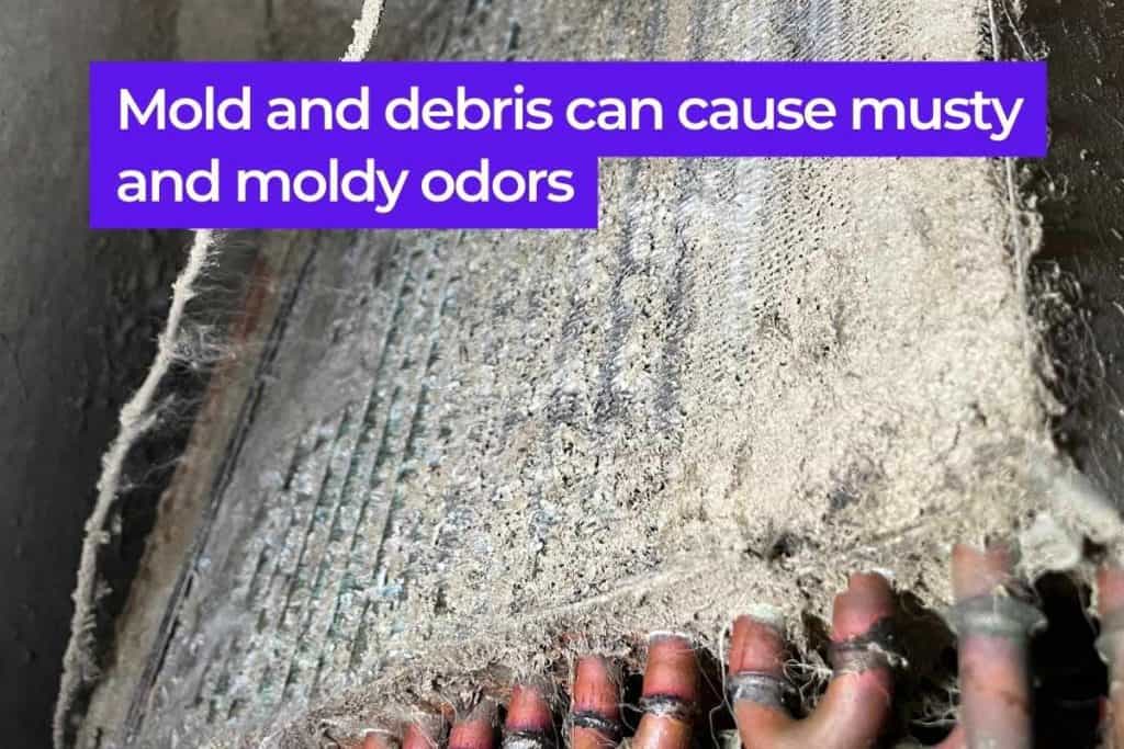 How To Fix 7 Bad Air Conditioner Smells (Musty, Mildew, Cat Pee) 3