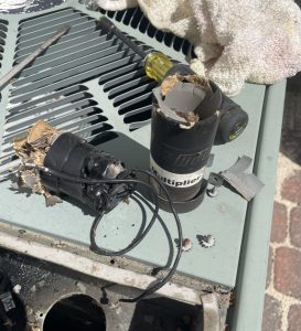 Dakota Norris 4 blown start capacitor