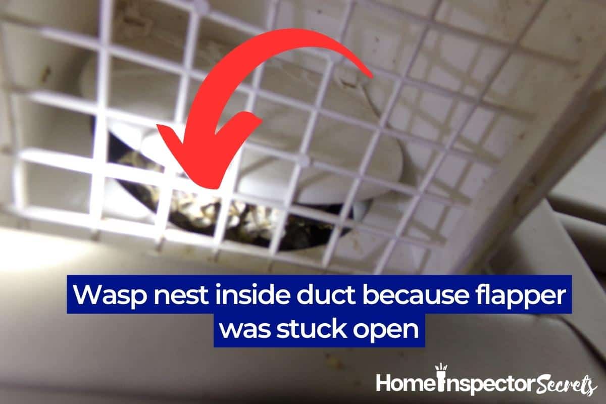 wasp nest inside duct wasp nest inside duct