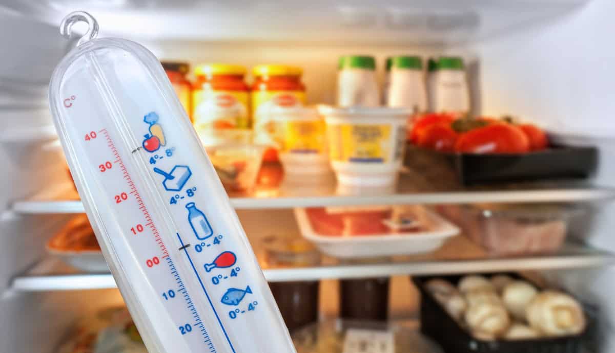 7 Hacks For The Perfect Refrigerator Temperature 1 refrigerator freezer temperature ideal