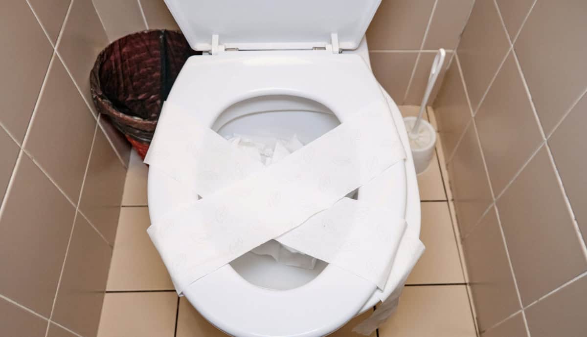 10 Ways To Unclog A Toilet With Or Without A Plunger (How To Unblock?) 1 how can i unclog a toilet