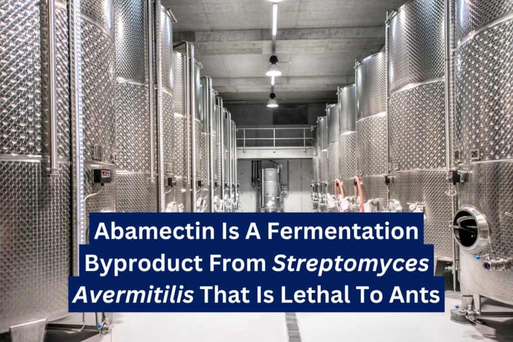 9 Ways To Get Rid of Ants (Natural & Insecticide) 9