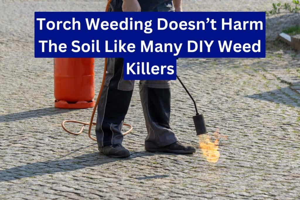 propane torch on weed