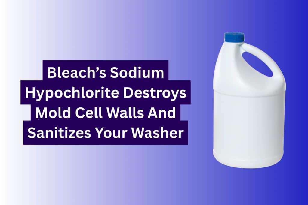 10 Ways To Clean A Washing Machine (Natural & Chemical) 10 how to clean washing machine (4)