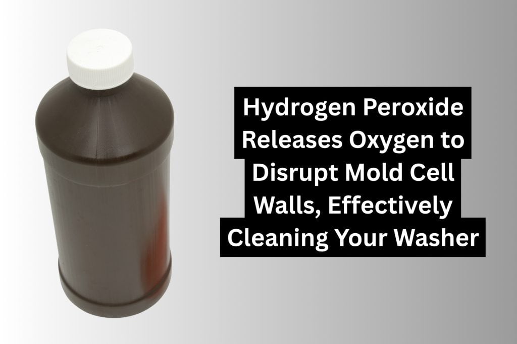 10 Ways To Clean A Washing Machine (Natural & Chemical) 8 how to clean a front loader washing machine