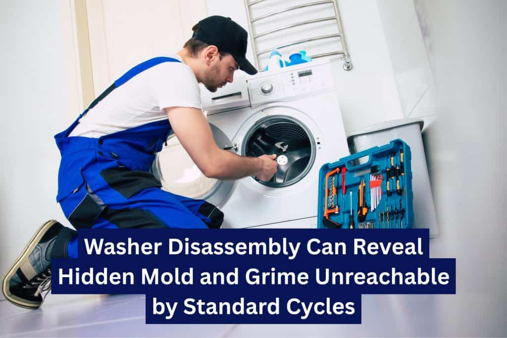 10 Ways To Clean A Washing Machine (Natural & Chemical) 11