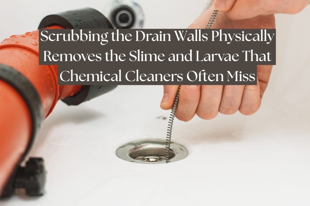 12 Ways To Get Rid of Drain Flies (Natural & Chemical Methods) 4 drain brush for pest control
