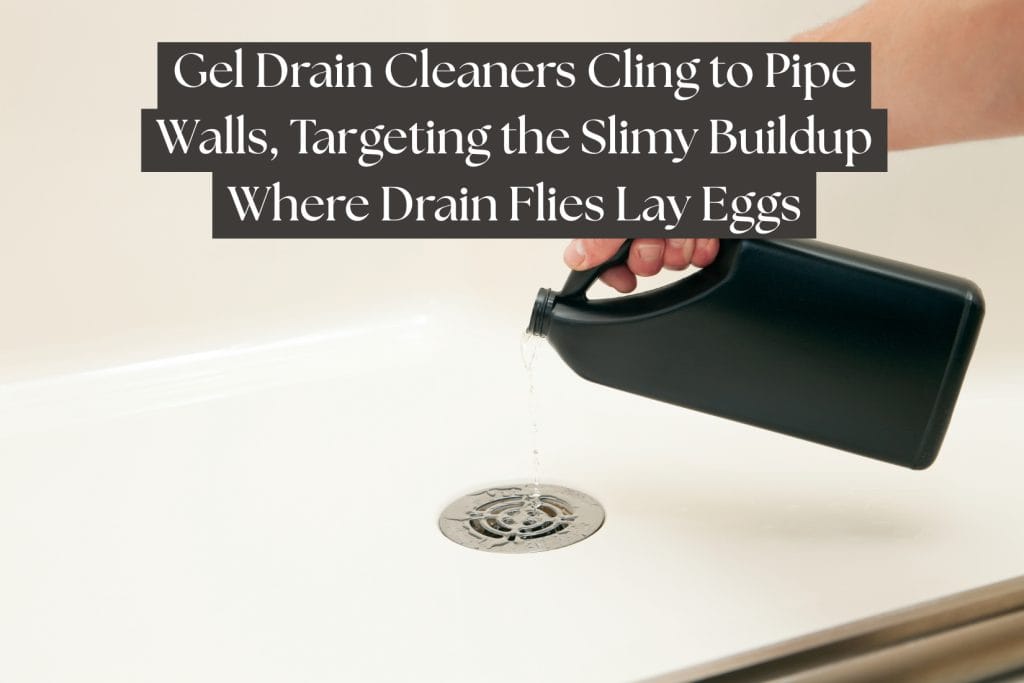 12 Ways To Get Rid of Drain Flies (Natural & Chemical Methods) 5 gel drain cleaner for drain fly control (2)