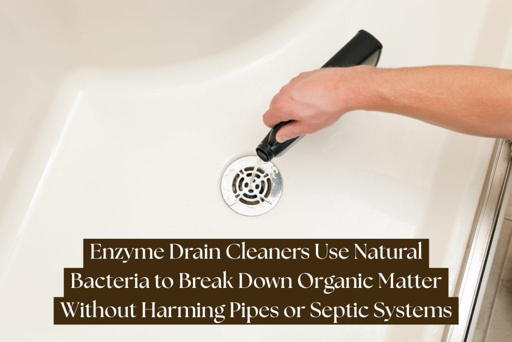 12 Ways To Get Rid of Drain Flies (Natural & Chemical Methods) 6 enzyme drain cleaner for drain flies
