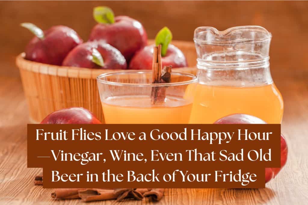 Say Goodbye to Fruit Flies: 7 Home Remedies That Really Work 3 how can i get rid of fruit flies