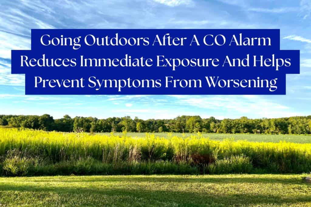 What To Do If Carbon Monoxide Alarm Goes Off (Beeping and Chirping) 2 getting fresh air carbon monoxide alarm (1)