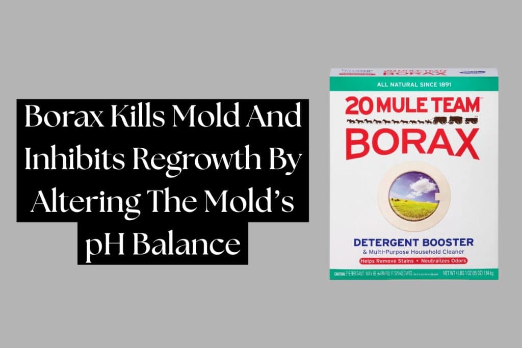 10 Ways To Remove Mold From Wood And Furniture 5 clean mold from wood using borax