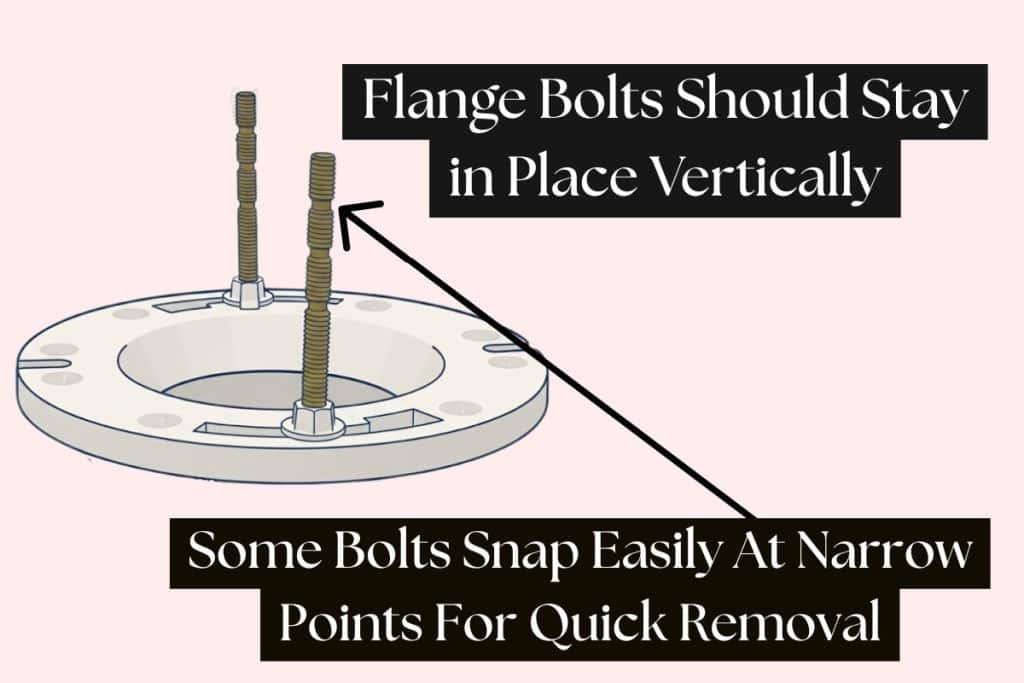 7-Steps to Installing or Replacing a Toilet (Flange Prep Included) 5 flange bolts