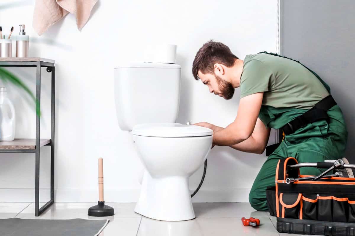 7-Steps to Installing or Replacing a Toilet (Flange Prep Included) 1 how to install replace toilet