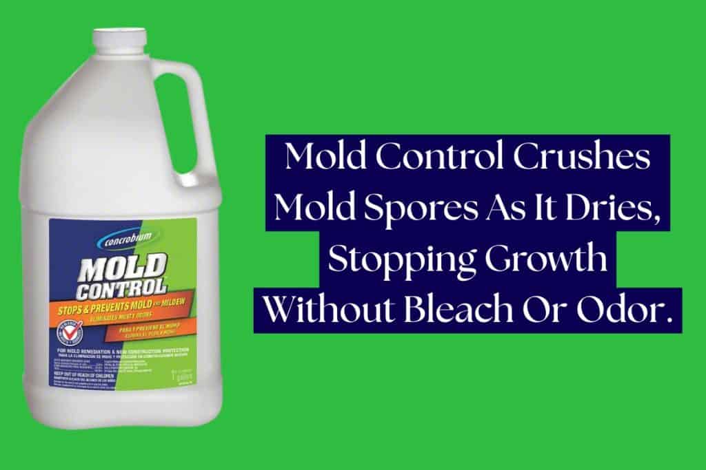 10 Ways To Remove Mold From Wood And Furniture 4 killing mold on wood using mold control by concrobium
