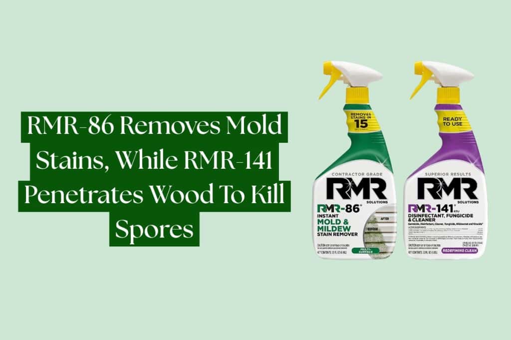 10 Ways To Remove Mold From Wood And Furniture 2