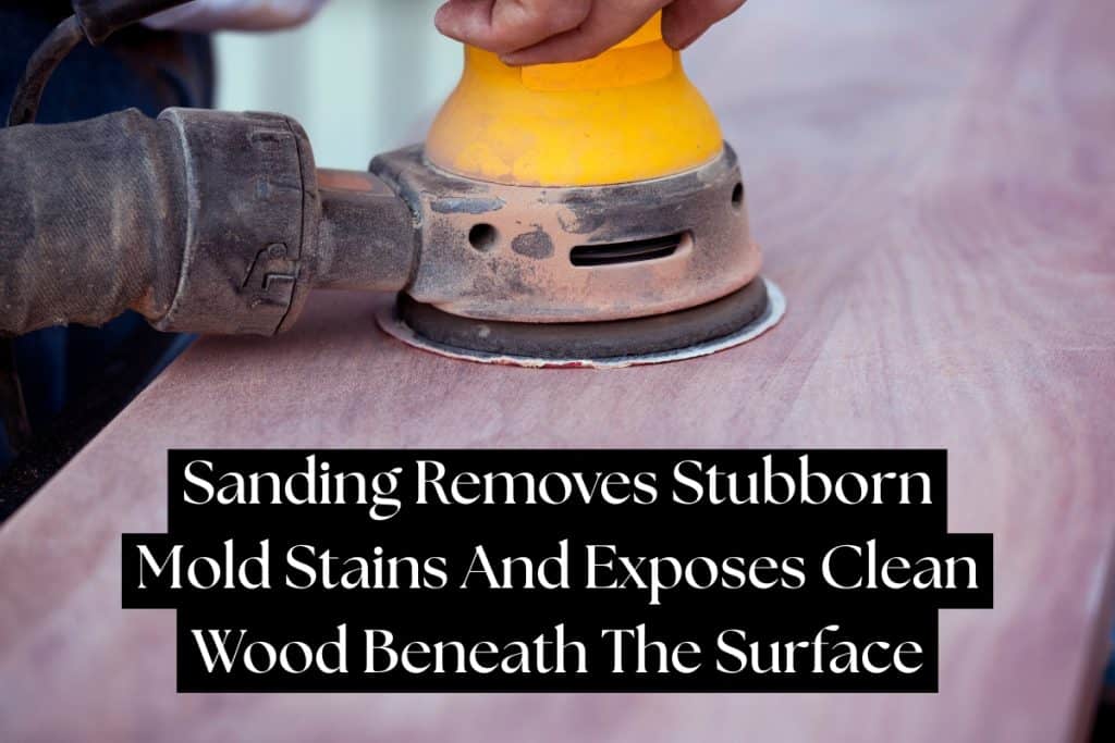 10 Ways To Remove Mold From Wood And Furniture 10 sanding wood to remove mold