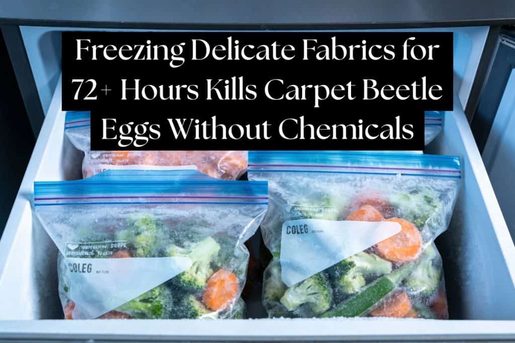 11 Proven Ways to Get Rid of Carpet Beetles (DIY, Pro, & Prevention) 8 freezing to stop carpet beetles larvae