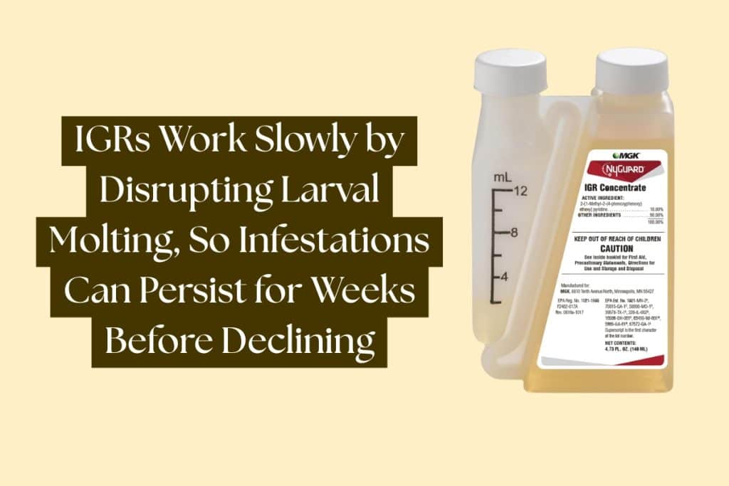 11 Proven Ways to Get Rid of Carpet Beetles (DIY, Pro, & Prevention) 10 igr insecticides for carpet beetles