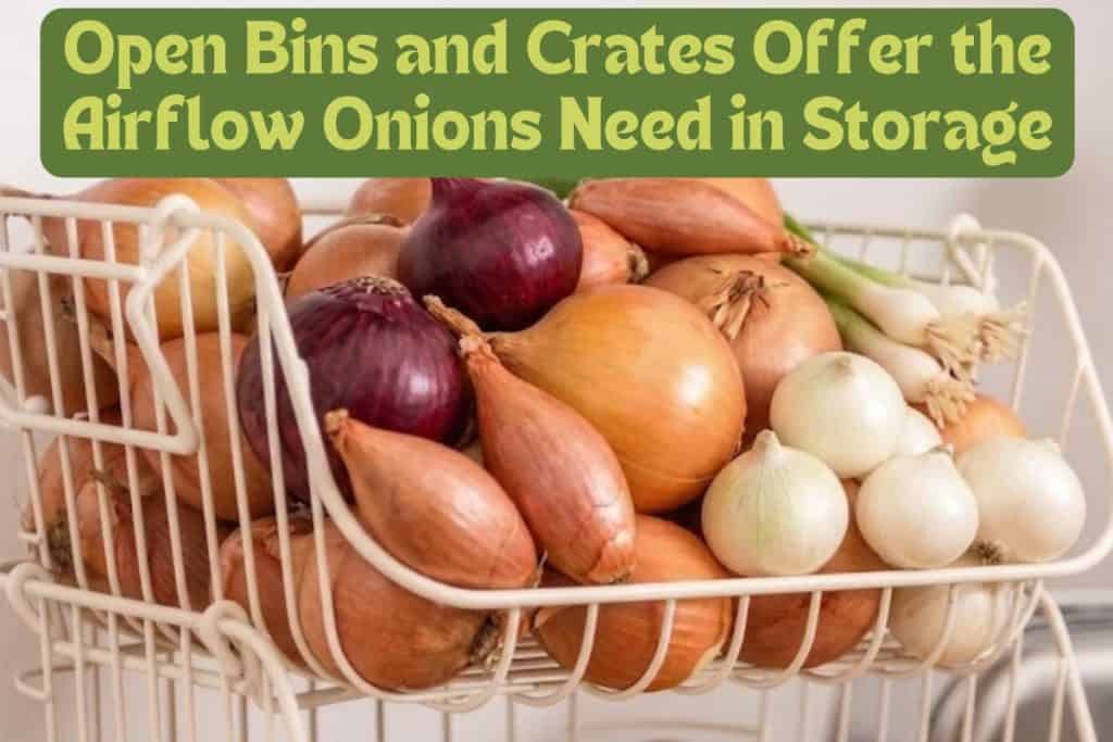 storing onions