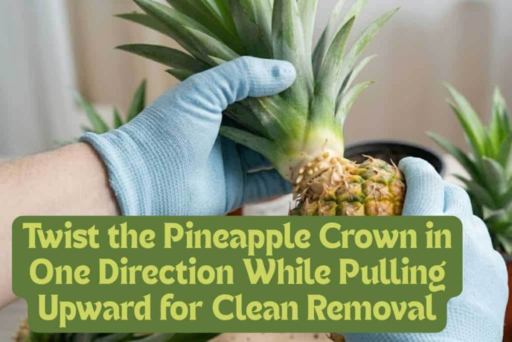 twist off the crown